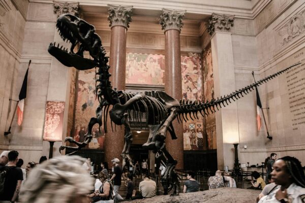 Tickets for the Natural History Museum in New York