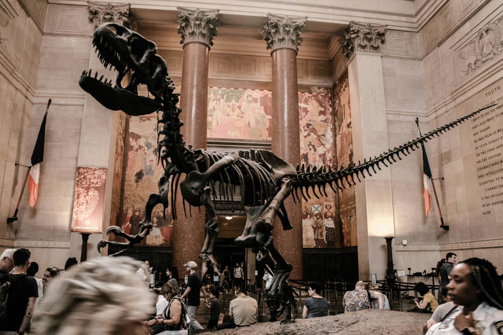 Tickets for the Natural History Museum in New York