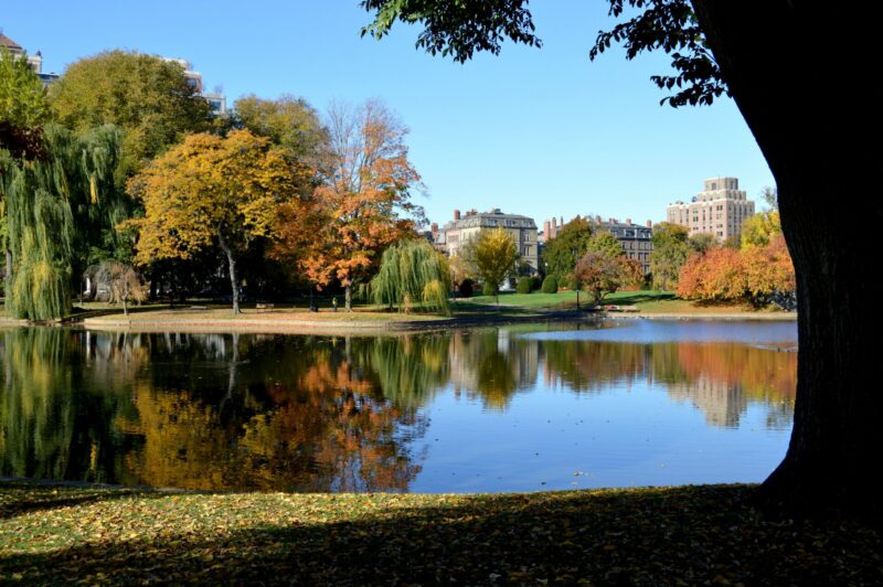 Boston skyline, Charles River, Massachusetts