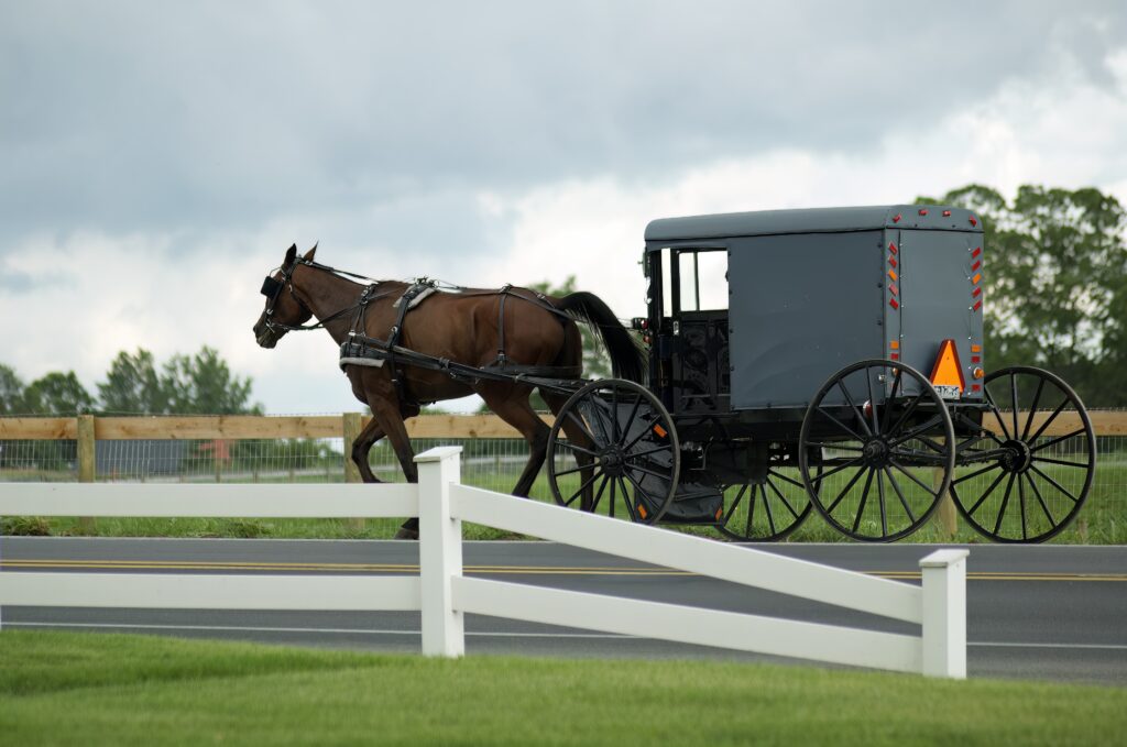 Amish buggy, Lancaster, Pennsylvania, USA