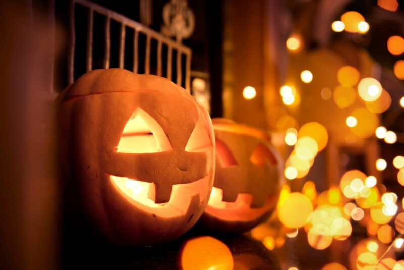 Zucche di Halloween durante il tour